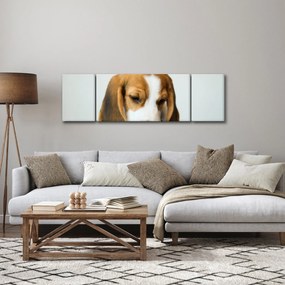 Obraz Beagle (170x50 cm)
