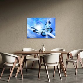 Obraz na szkle - Motyl, symbol nadziei (70x50 cm)