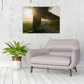Obraz na szkle - aleja (70x50 cm)