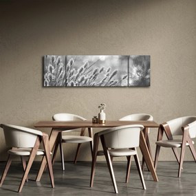 Obraz - Beżowa miękka trawa N⁰1 (170x50 cm)