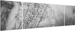 Obraz - Łąka po deszczu (170x50 cm)