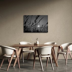 Obraz - Łąka z zachodem słońca (70x50 cm)