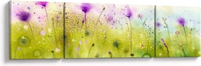 Obraz - Kwiaty polne (170x50 cm)