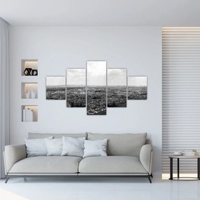Obraz - Dachy domów w Paryżu (125x70 cm)