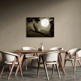 Obraz na szkle - Nocna sowa, złoty (70x50 cm)