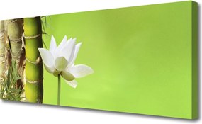 Obraz canvas Orientalny Pęd Bambusa