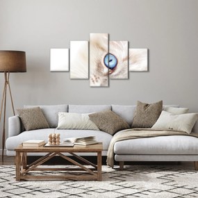 Obraz - Kotek (125x70 cm)