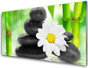 Panel Szklany Nieoczekiwany Duet: Bambus i Stokrotka