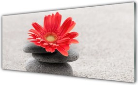 Szkło Ozdobne do Kuchni Radosna Gerbera w Detalu