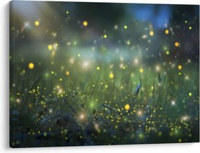 Obraz - Magiczna noc (70x50 cm)