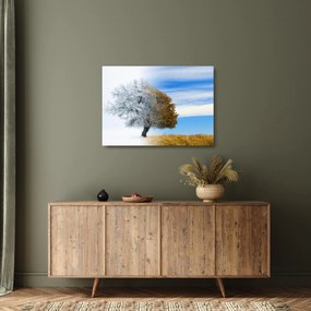 Obraz na szkle - Zmiana pór roku (70x50 cm)