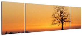 Obraz zachodu słońca na łące (170x50 cm)