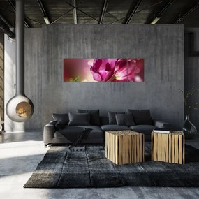 Obraz różowych tulipanów (170x50 cm)