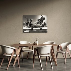 Obraz na szkle - Historyczne samoloty (70x50 cm)