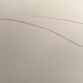 Obraz - Beżowa abstrakcja (170x50 cm)