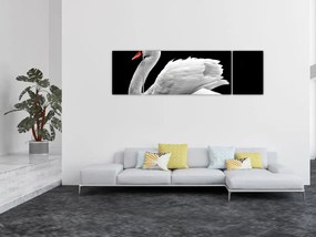 Obraz czarno - białego łabędzia (170x50 cm)