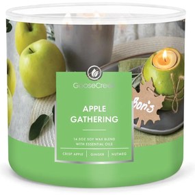 Zapachowa sojowa świeca czas palenia 35 h Apple Gathering – Goose Creek