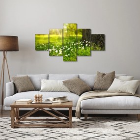Obraz polany i kwiatów (125x70 cm)