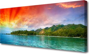 Obraz canvas Brzeg Lasu nad Bałtykiem