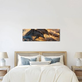 Obraz - Delfiny (z zegarem) (90x30 cm)
