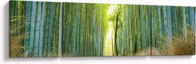 Obraz - Las bambusowy (170x50 cm)