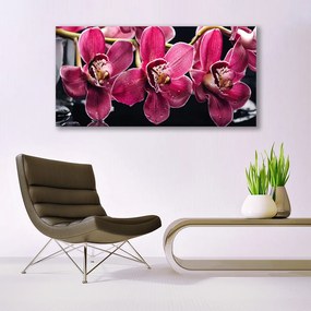 Obraz Canvas Kwiaty Orchidea Pędy Natura