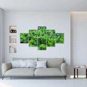 Obraz sukulentów (125x70 cm)