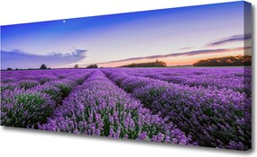 Obraz na płótnie Letnia Łąka Pełna Kwiatów