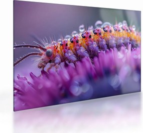 Obraz na szkle - Caterpillar (70x50 cm)