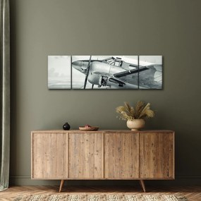 Obraz - Samolot (170x50 cm)
