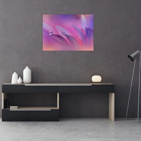 Obraz - Kropla na kwiecie (70x50 cm)