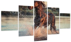Obraz - Biegnący koń (125x70 cm)