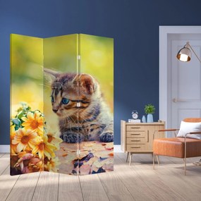 Parawan - Kotek patrzący na kwiat (126x170 cm)