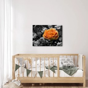 Obraz kwiatu (70x50 cm)