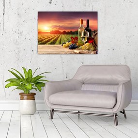 Obraz na szkle - winnica z winem (70x50 cm)