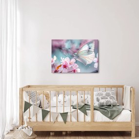 Obraz - Motyl na drzewie wiśni (70x50 cm)