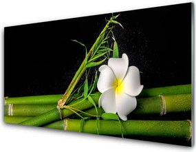 Panel Kuchenny Orientalny Kwiat Bambusa