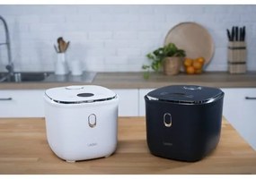 Lauben Low Sugar Rice Cooker  3000WT