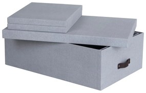 Jasnoszare kartonowe pojemniki z pokrywką zestaw 3 szt. 31x47x15 cm Inge – Bigso Box of Sweden