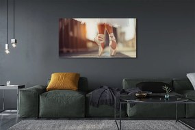 Obraz na płótnie Białe Baletki i Nogi