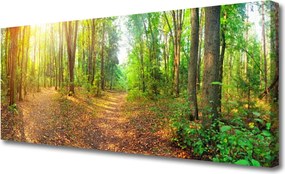 Obraz na płótnie Głusza Starego Lasu