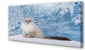 Obraz na płótnie Kot w Zimowej Scenerii