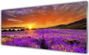 Szkło do Kuchni na Ścianę Pole Lawendy o Zmierzchu