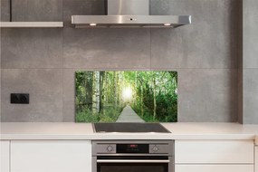 Szklany Panel Droga przez Las Brzozowy