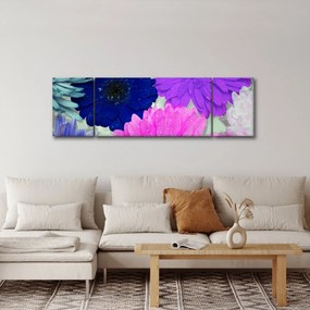 Obraz kolorowych kwiatów (170x50 cm)