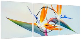 Obraz kwiatu Strelicji (z zegarem) (90x30 cm)