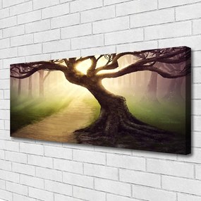 Obraz canvas na ścianę Promienie Słońca w Koronie Drzewa