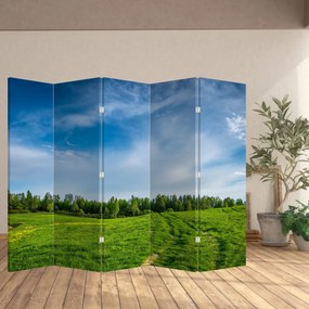 Parawan - Łąka (210x170 cm)