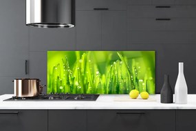 Szkło do Kuchni na Ścianę Poranne Perły na Trawie