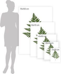 Plakat Fern Green